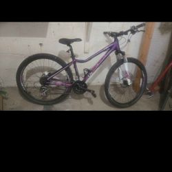 Liv Cycling Women's 27.5" Tempt 4 Mountain Bike Small Frame