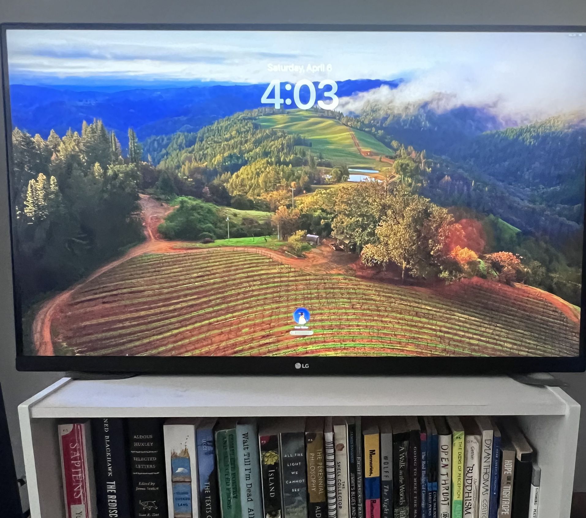 LG 32UN880-B 32" UltraFine Display Ergo UHD 4K IPS Display with HDR 10 Compatibility and USB Type-C Connectivity