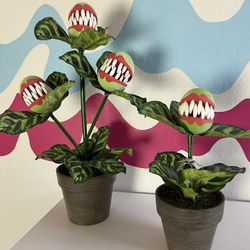 Venus Fly Trap Plant Art 