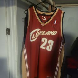 LeBron James Jersey