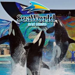 Seaworld tickets/boletos 