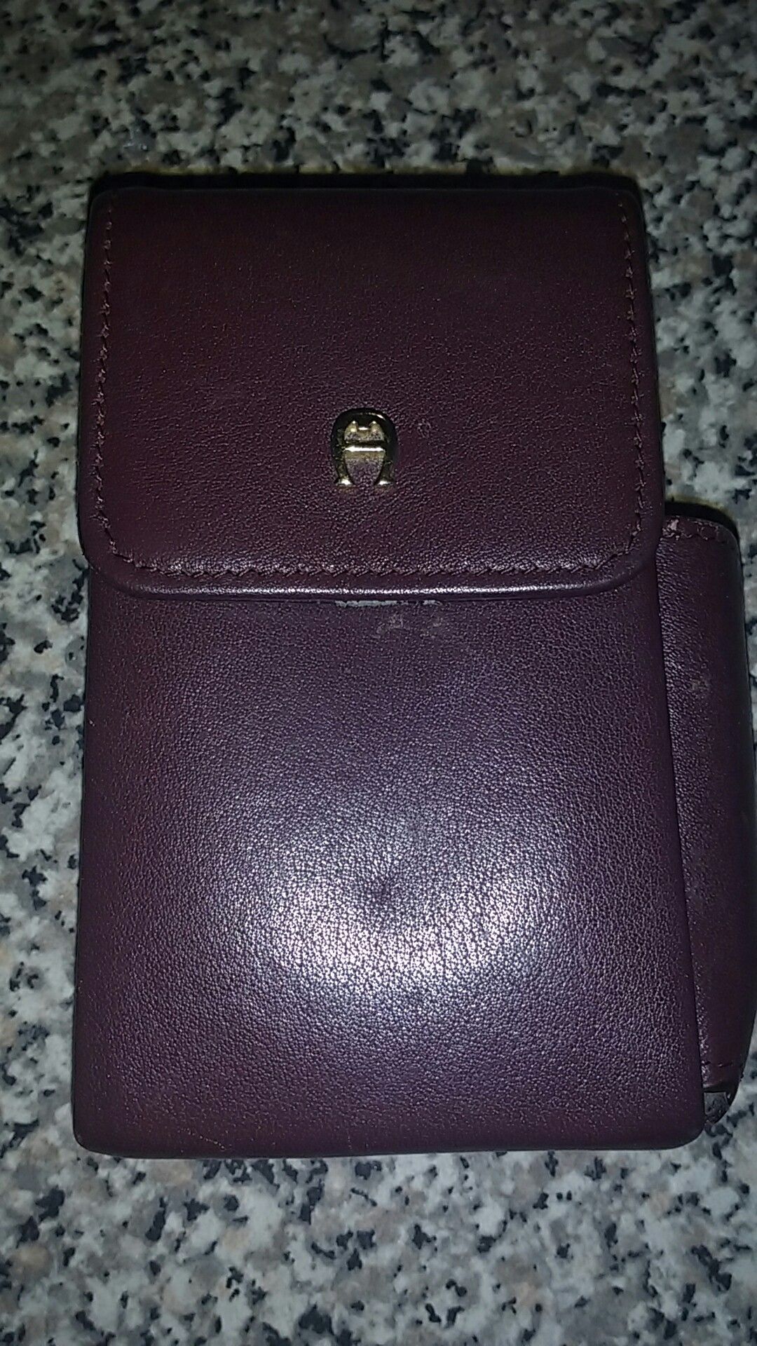 Etienne Aigner Cigarette and Lighter Case Combo