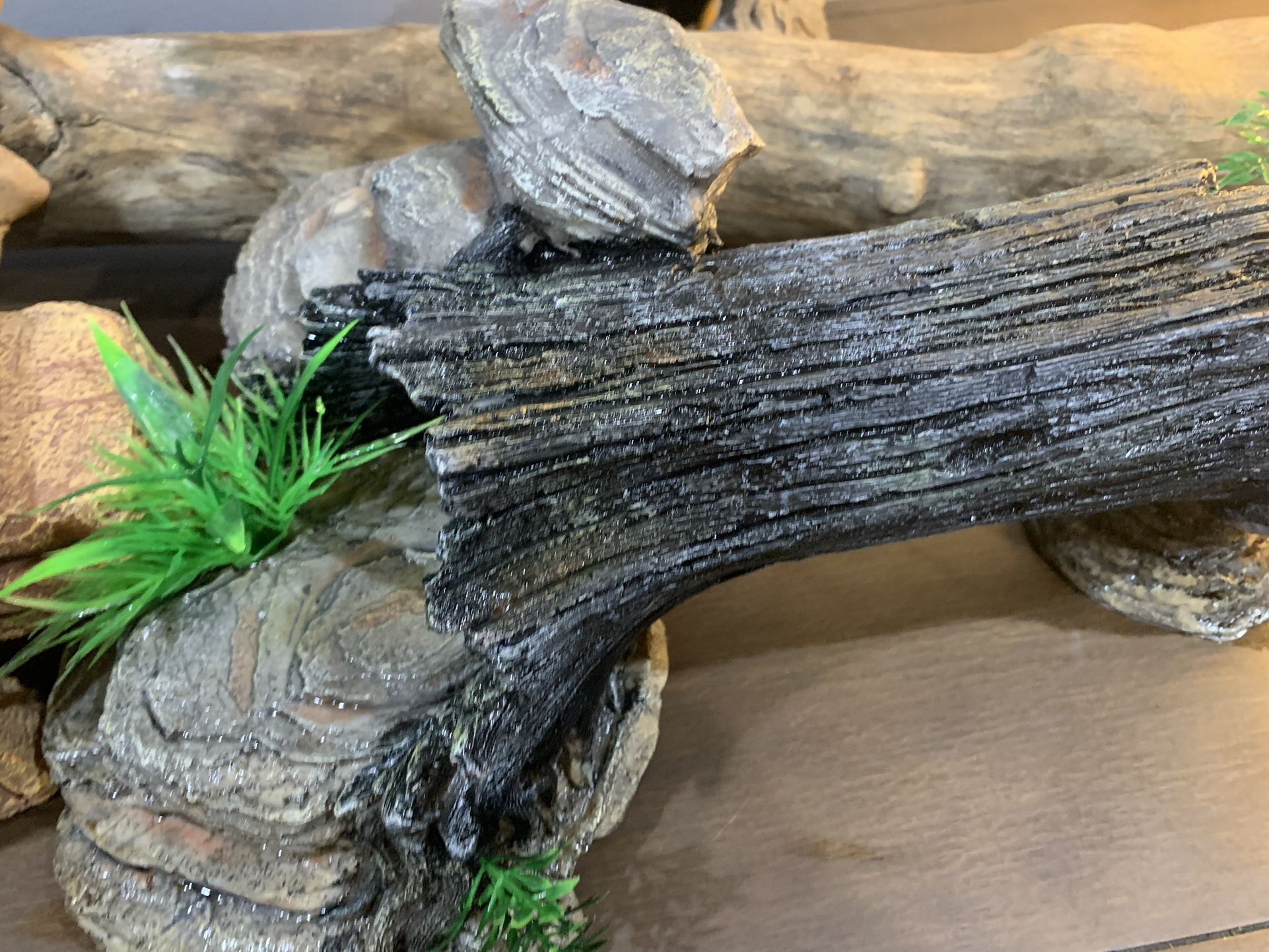 Terrarium/ Tank Decor