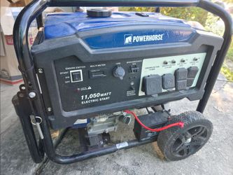 Powerhorse 11,050 Generator
