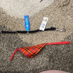 Xs Dog Collar And Walk 2 Dogs At Once Collar 