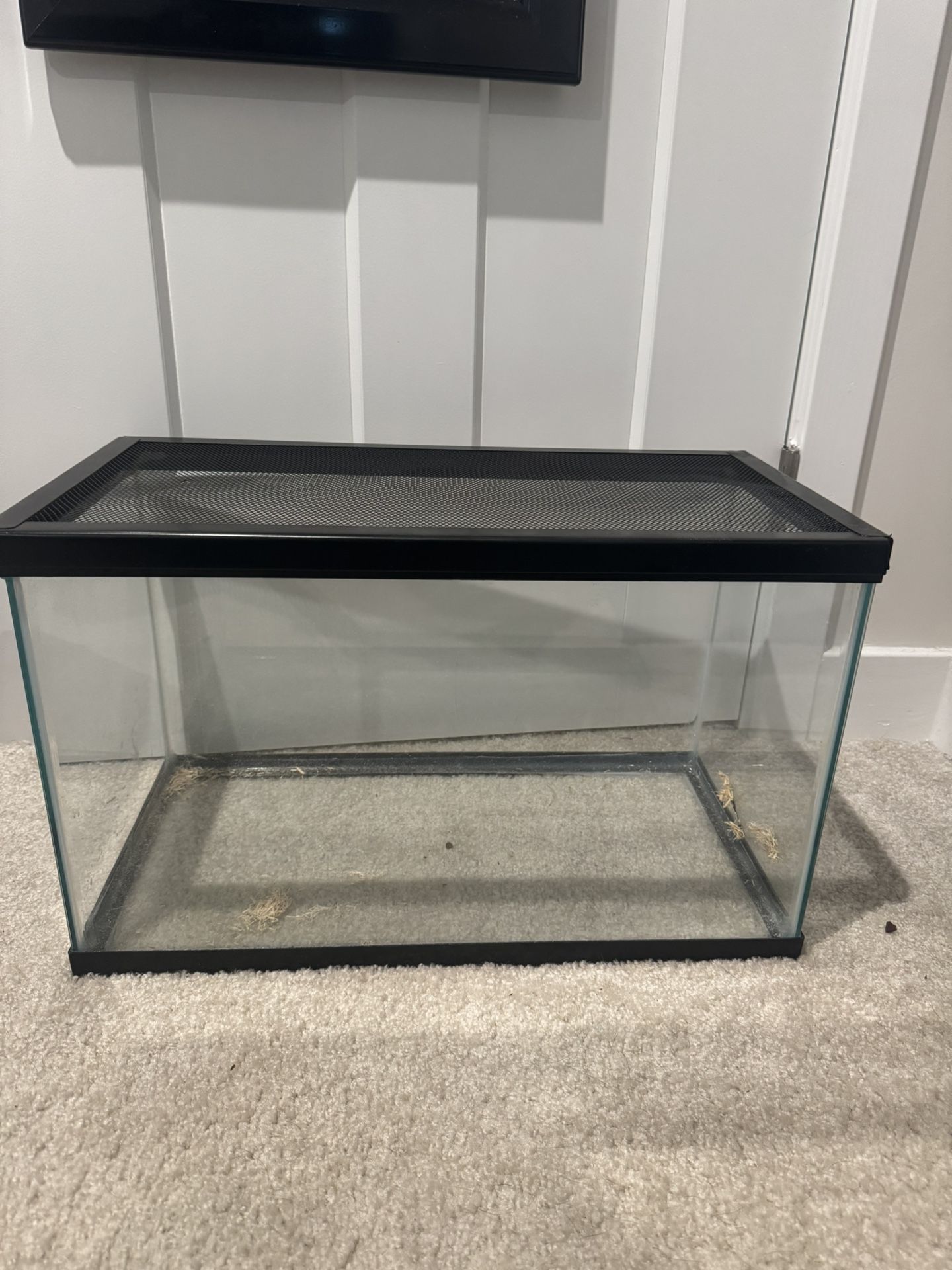 10 Gallon Tank With Screen Lid