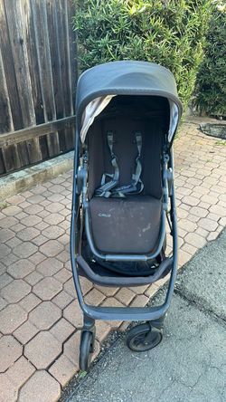 Uppababy Cruz Stroller