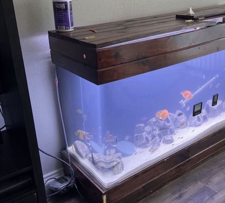 ⚡️$650/obo TankOnly⚡️SeaClear System II 100-Gallon Saltwater/Freshwater Acrylic Aquarium Wet/Dry Filtration (60"L x 18"W x 20"H)⚡️Pickup/CashOnly⚡️