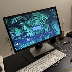 Dell 24” Monitor