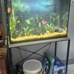 Fish Tank and Stand 30 Gallons 