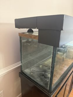 125 Gallon Fish Tank