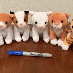 6 Small Stuffed Kittens
