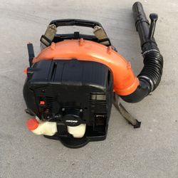 Echo Commercial Gas Blower 