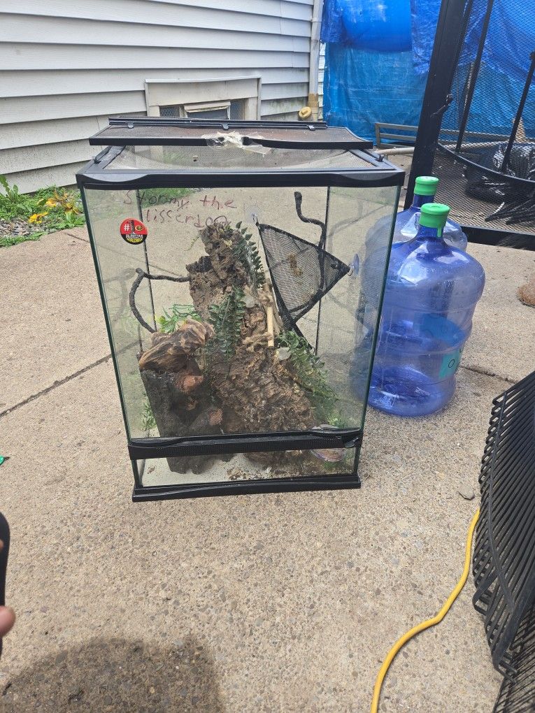 Reptile Terrarium