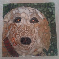 Mosaic Glass 8" x 8" Yellow Dog item 59  by Jane St. Romain 2016