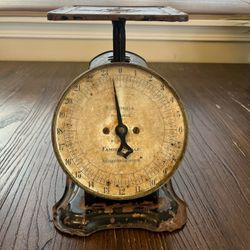 Vtg Columbia Family Scale 24 lbs Landers Frary Clark USA Rustic Farmhouse Decor