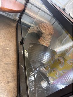 Reptile Tank