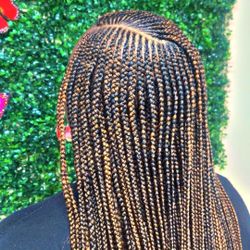 Conrows In Beltsville 