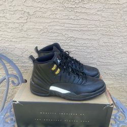 Jordan 12 Masters