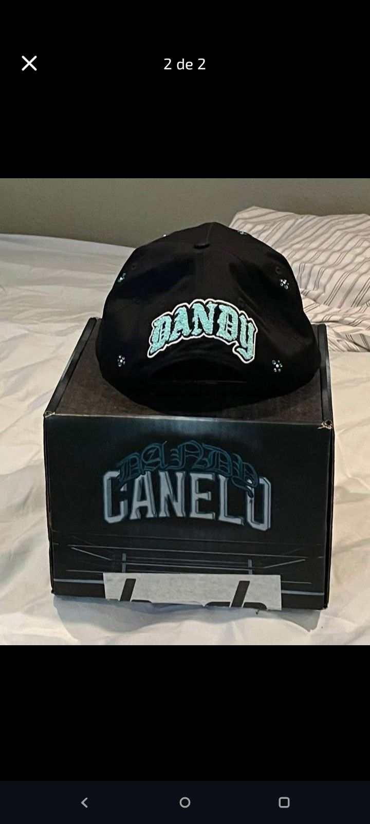 Dandy X Canelo Nuevas