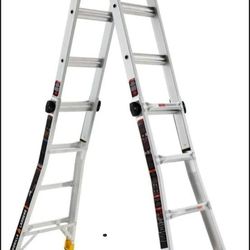 Multi Position Gorrilla Ladder
