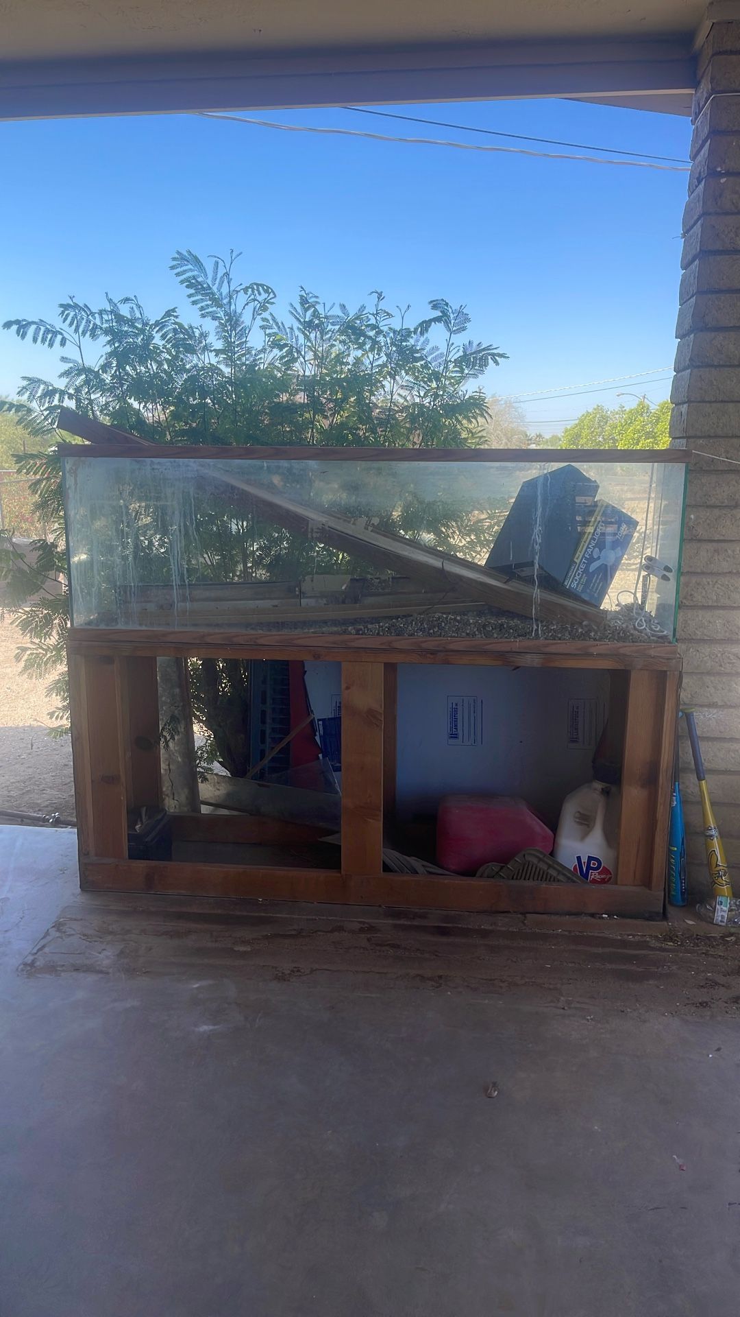 Fish Tank 