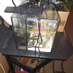 Small Fish Tank