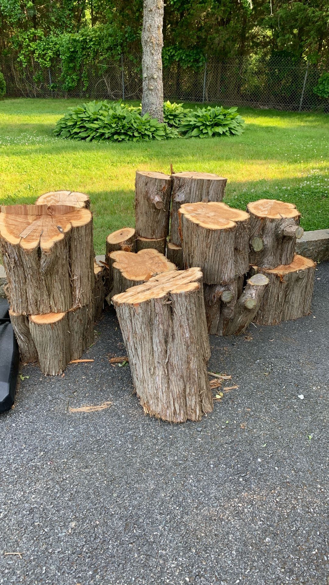 Campfire Wood