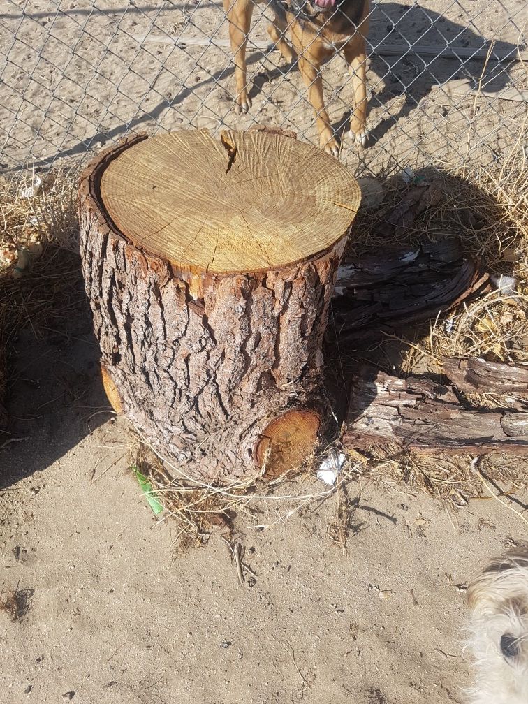 3 wood stumps for Sale in Palmdale, CA OfferUp