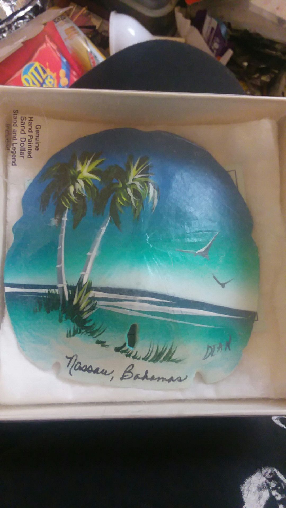 Genuine sand dollars from NASSAU BAHAMAS hand painted