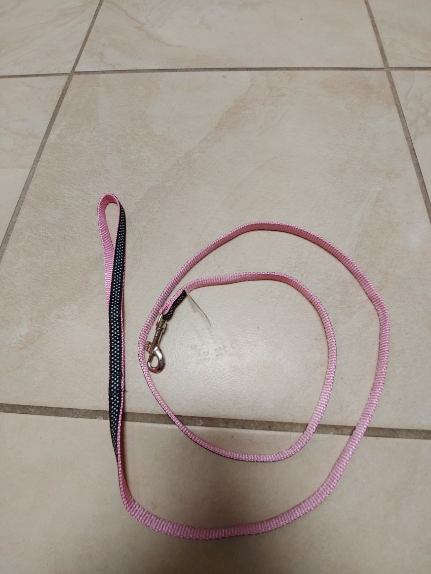 Cute small dog leash
