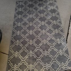 Pottery Barn Rug