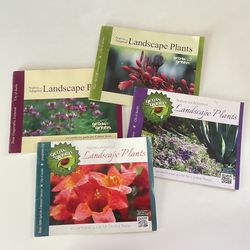 4 Native & Adapted Landscape Plants Earthwise Guide for Central Texas Grow Green