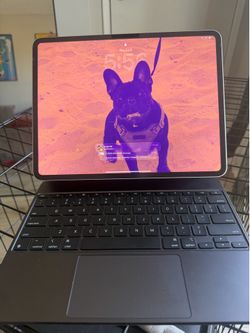 iPad Pro 2025  12.9 inch WiFi 256gb