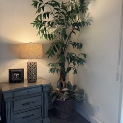 $25 Fake Plant 🪴 