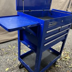 Blue Point Tool Box 