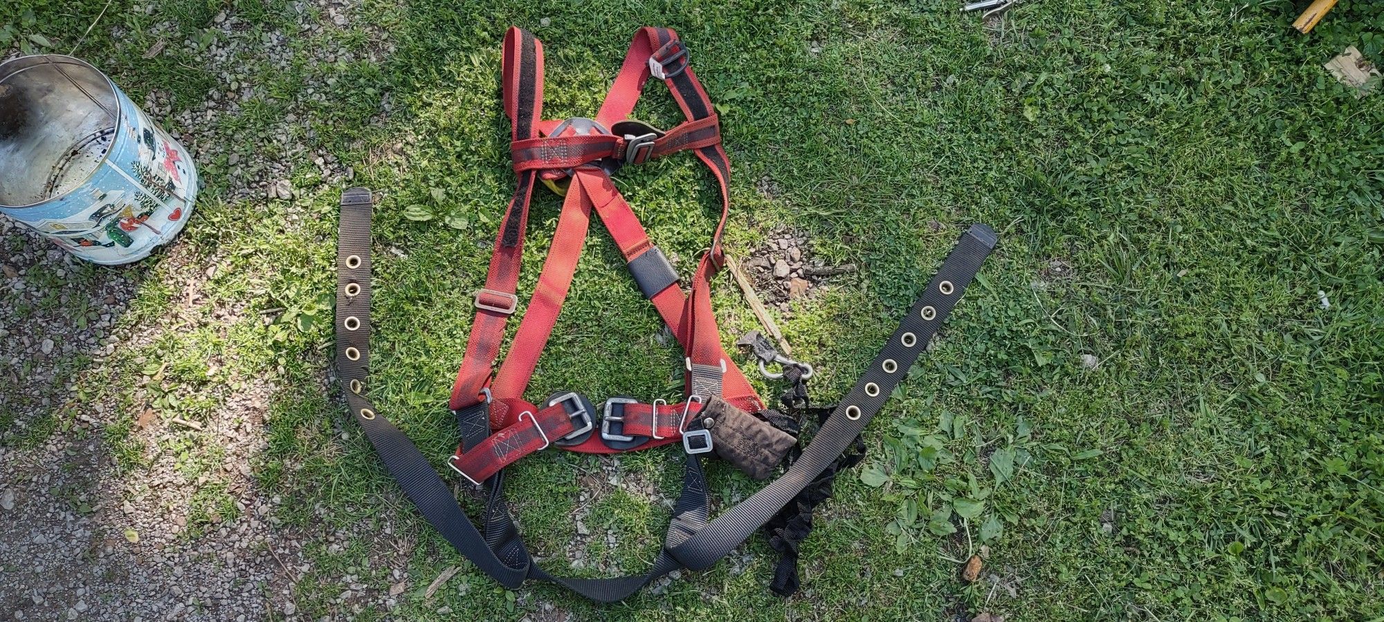 Body Harness