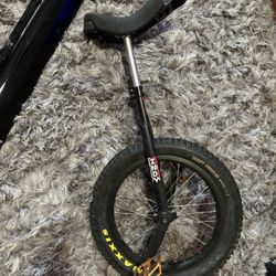 Unicycle