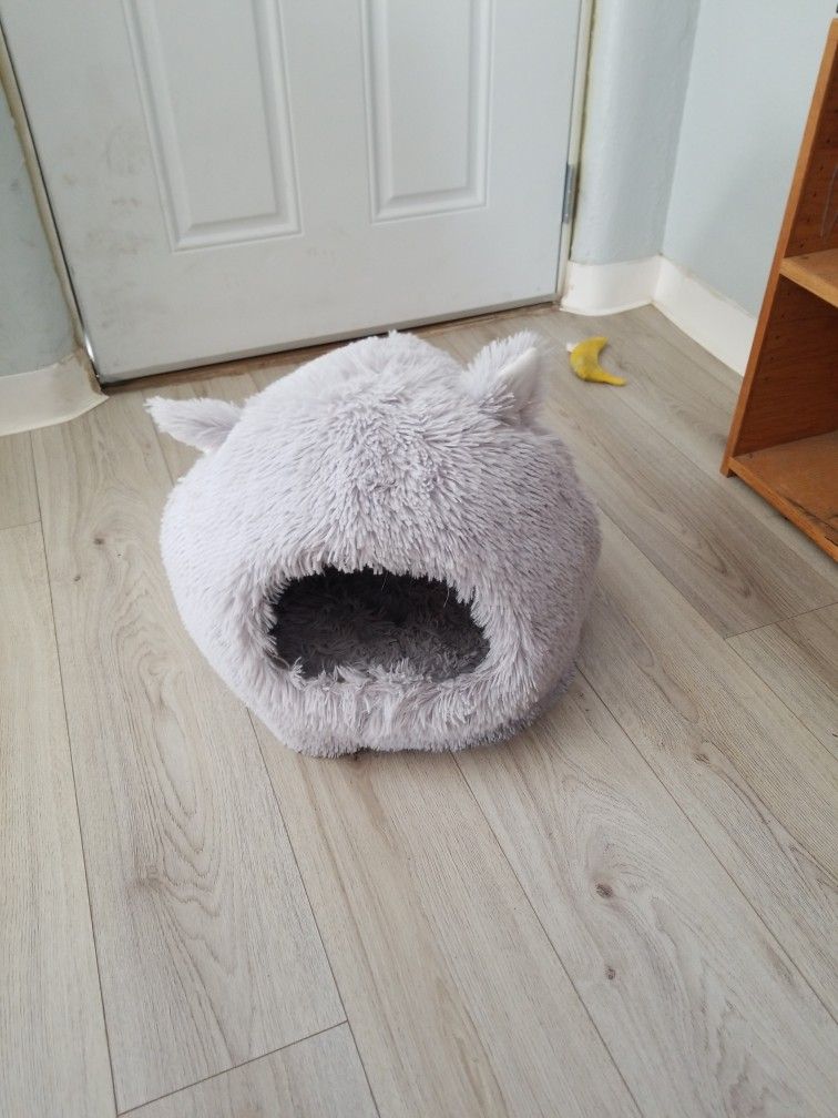 Cat House
