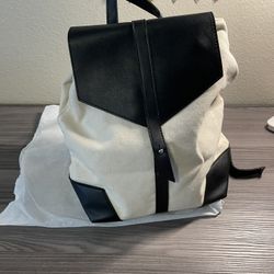 Designer Mini Backpack 