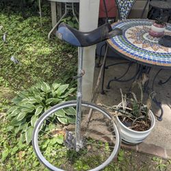 Torker 24in Unicycle Bike
