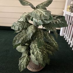 Miscellaneous Artificial Plants