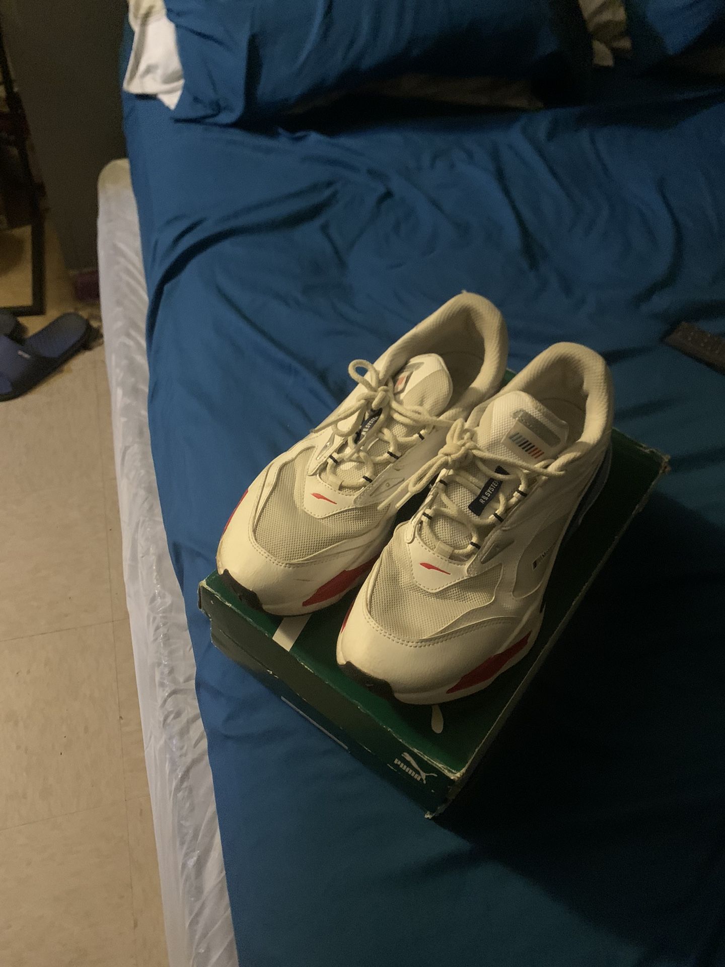 BMW PUMAS