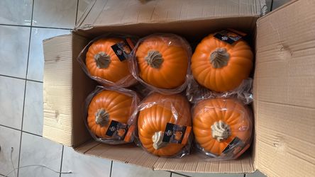 Hyde & EEK Fake Pumpkins Set of 6