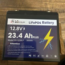 12V 23.4AH (30AH) Plus Lifepo4 Lithium Battery With 30A BMS, Lifepo4 Battery 4000+Deep Cycles Perfect for Trolling Motor,Kids Scooters,Power Wheel Cha