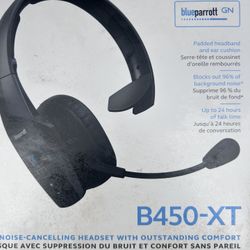 Blue Parrot B450XT