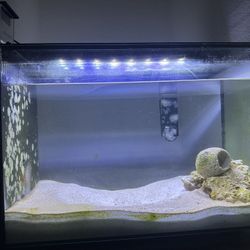 13 Gallon Fluval Saltwater Tank W/NEW REEF TEST KIT