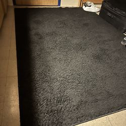 Black Carpet 