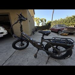 Electric bike lectric