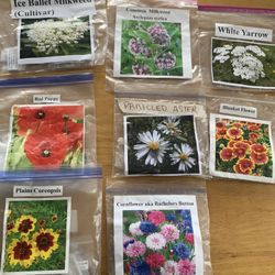 Seeds For Garden- Flowers, Tomatoes, Peppers And Many More!  Free Shipping